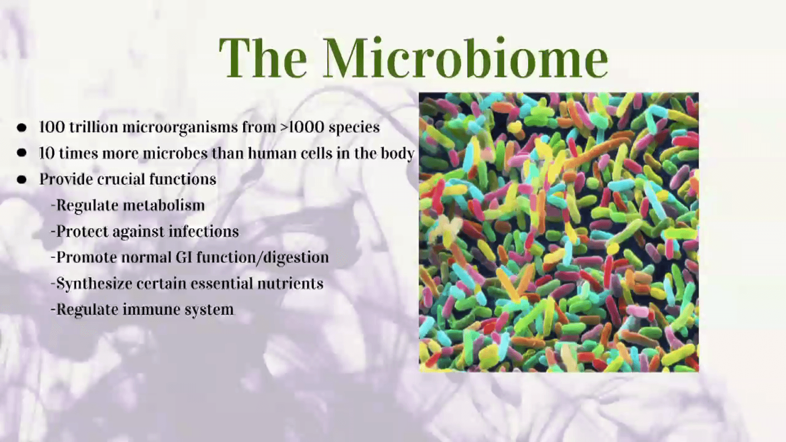 Ayurveda and Auto-Immune Diseases Platinum Experience Ayurveda