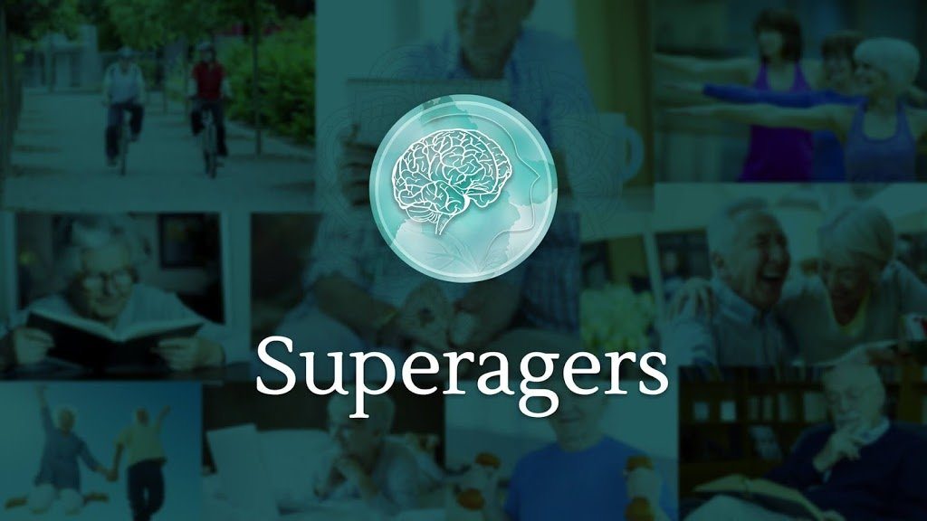 Ayurveda and Brain Health Platinum Educational Course Experience Ayurveda