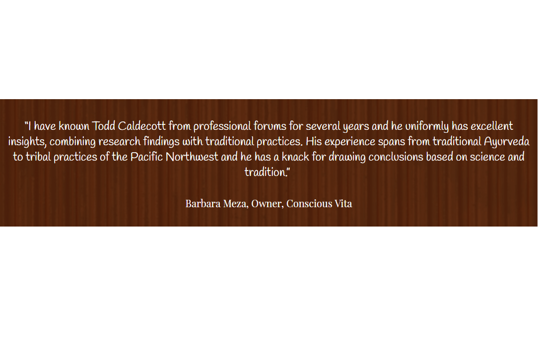 Ayurveda & Metabolic Syndrome - DVD Set Experience Ayurveda