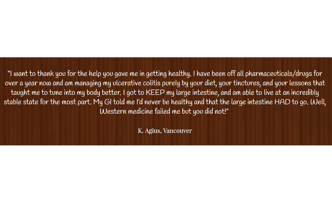 Ayurveda & Metabolic Syndrome - DVD Set Experience Ayurveda