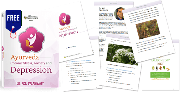 Ayurveda- Chronic Stress, Anxiety and Depression - DVD Set Experience Ayurveda