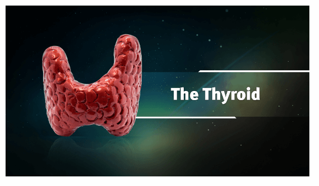 Ayurveda & Thyroid Health Platinum Educational Course Experience Ayurveda