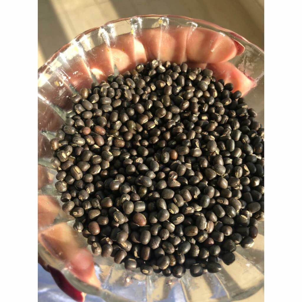 Balaayah Black Gram Body Booster -With the Richness of Black Gram & Himalayan Salt Body Oil iYURA