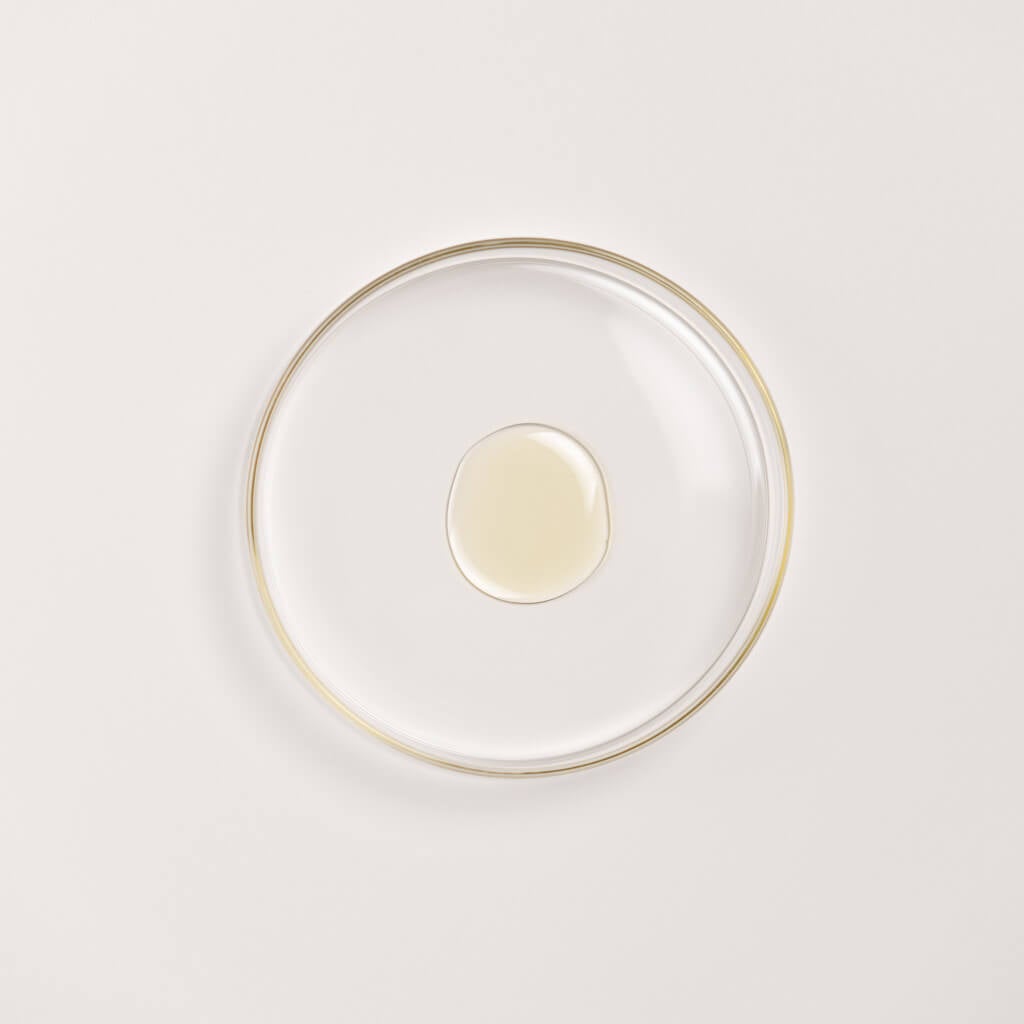 Black Gram Face Firming Cream and Moisturizing Body Oil Set Lotion & Moisturizer A. Modernica Naturalis