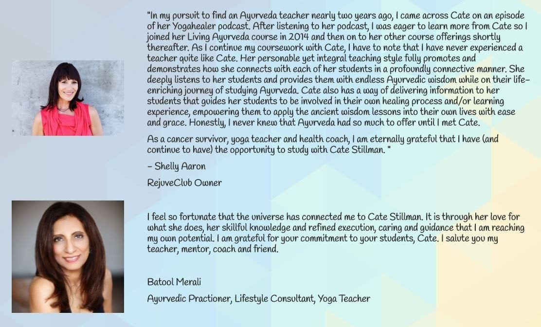 Modern Ayurveda Platinum Experience Ayurveda