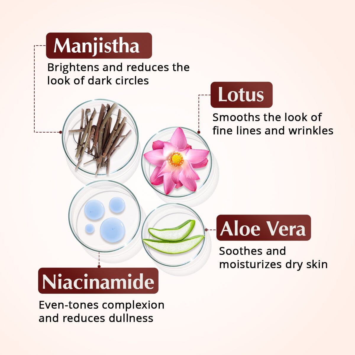 Rufolia Pro Eye Contour Eyemulsion – Brighten, Firm and Moisturize Under-Eyes – New Formula with Manjistha, Aloe Vera, Lotus, and Niacinamide – Best Under-Eye Cream – With Clinically Tested Ingredients Eye Cream A Modernica Naturalis