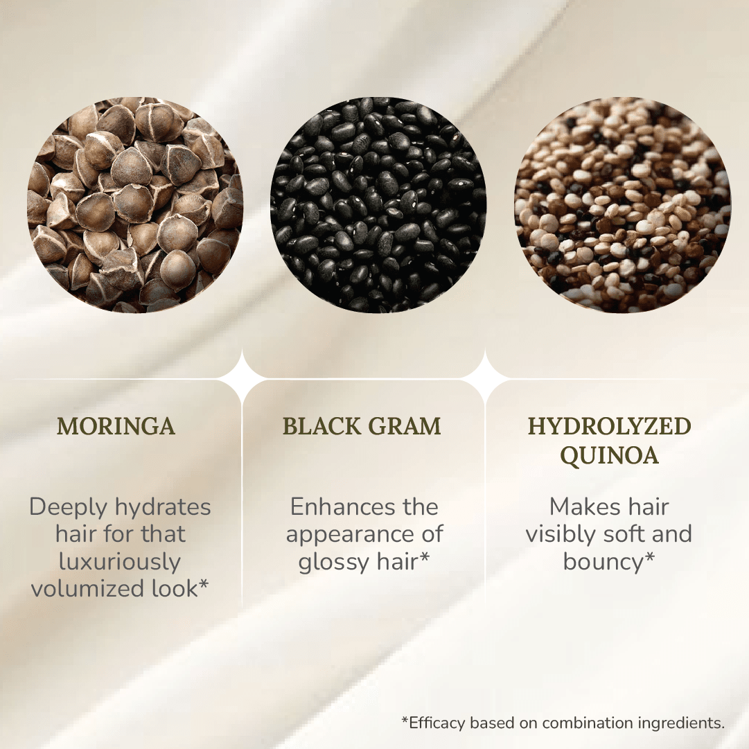 Soft-O-More Shampoo – Cleanses, Moisturizes, Unfrizzes the look of Dry, Dull, Damaged or Aging Hair – Ultra-Hydrating Formula with Moringa, Gotu Kola and Black Gram – Best Shampoo For Damaged, Frizzy Hair Hair Shampoo A Modernica Naturalis