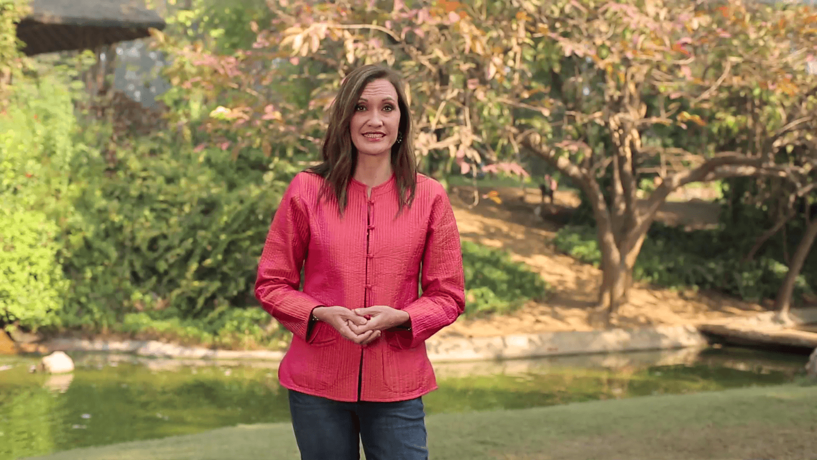 The Ayurveda Experience - Silver Educational Course Experience Ayurveda