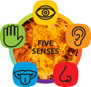 The Ayurvedic Secrets of Digestion - Silver Experience Ayurveda