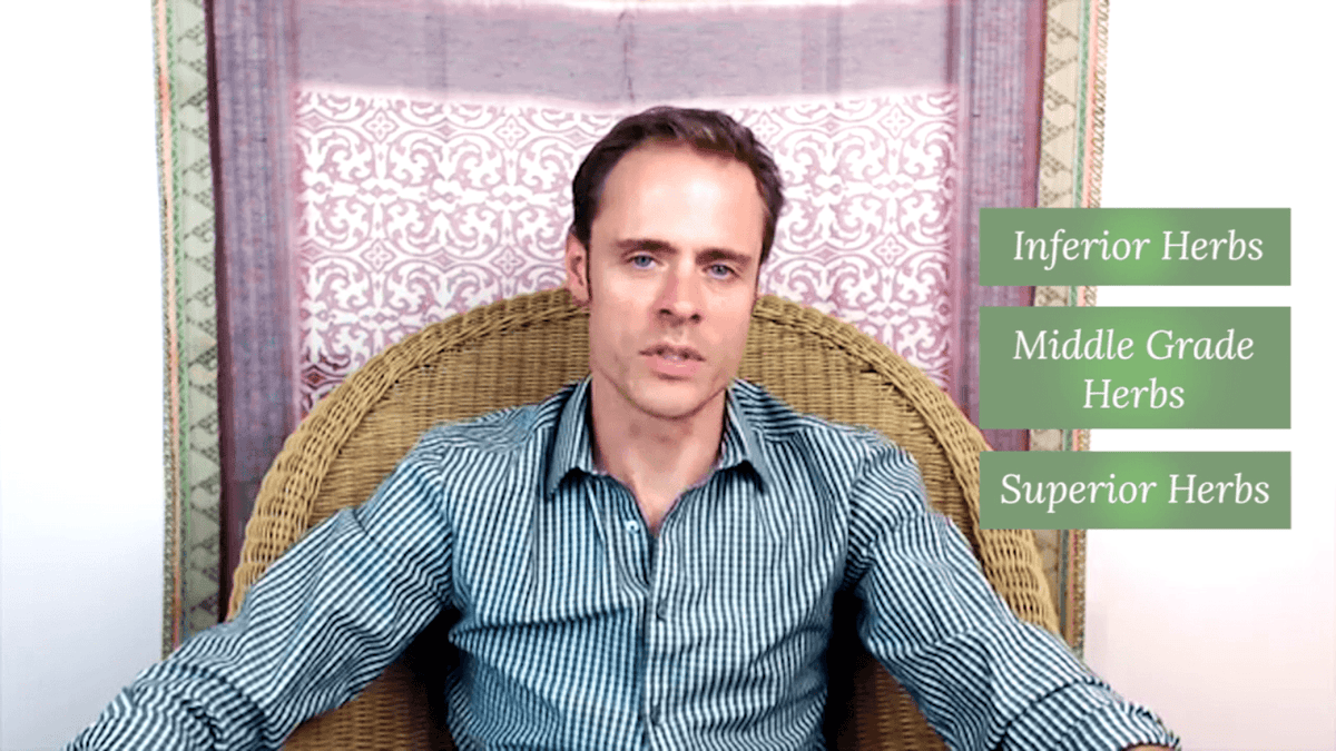 Ayurveda &amp; Anti-Aging - DVD Set Experience Ayurveda 