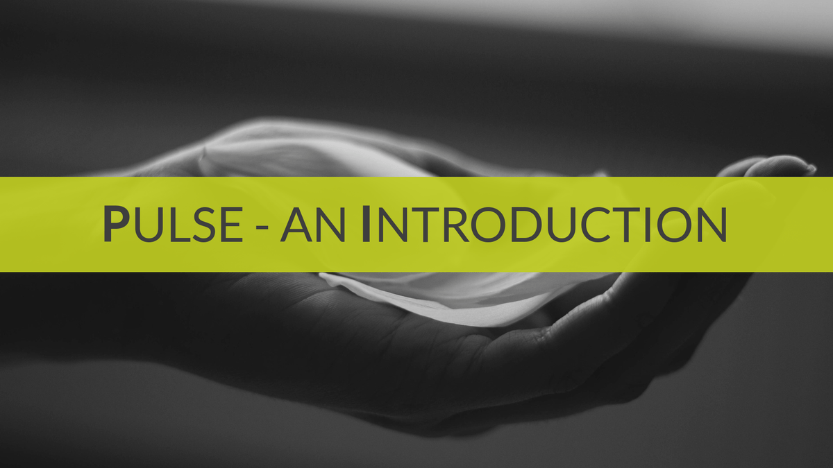 Ayurveda &amp; Pulse Reading Educational Course The Ayurveda Experience 