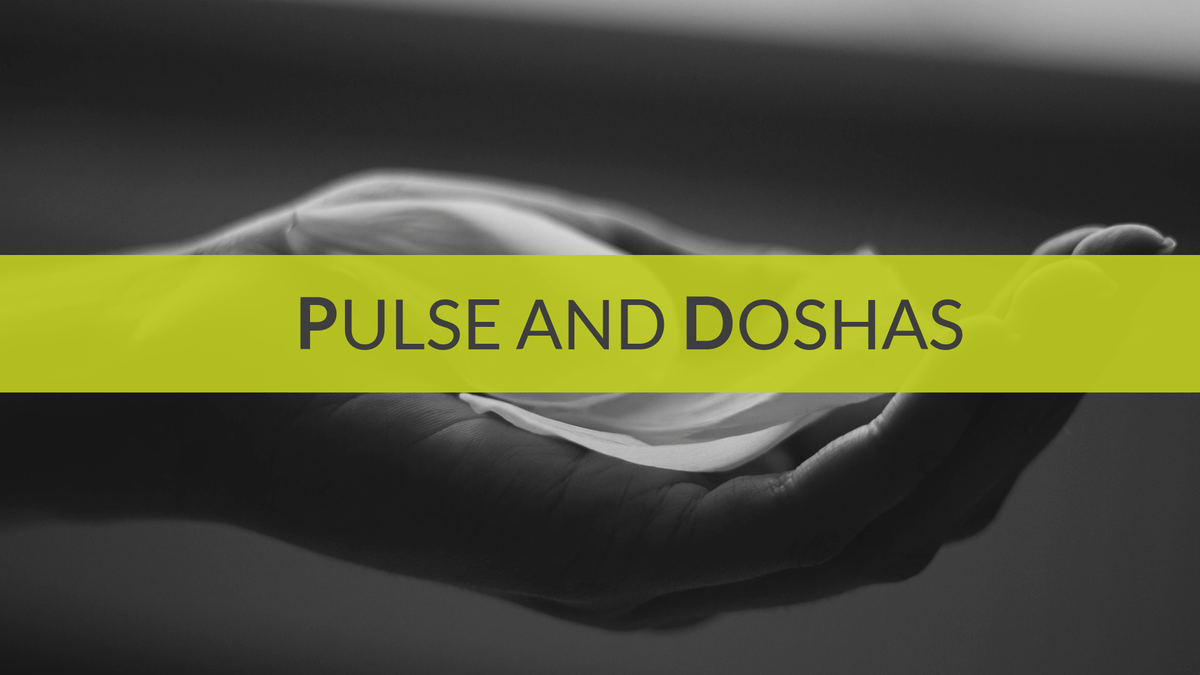 Ayurveda &amp; Pulse Reading Educational Course The Ayurveda Experience 