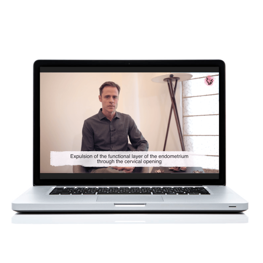 Ayurveda &amp; Sexual Wellness Educational Course The Ayurveda Experience 