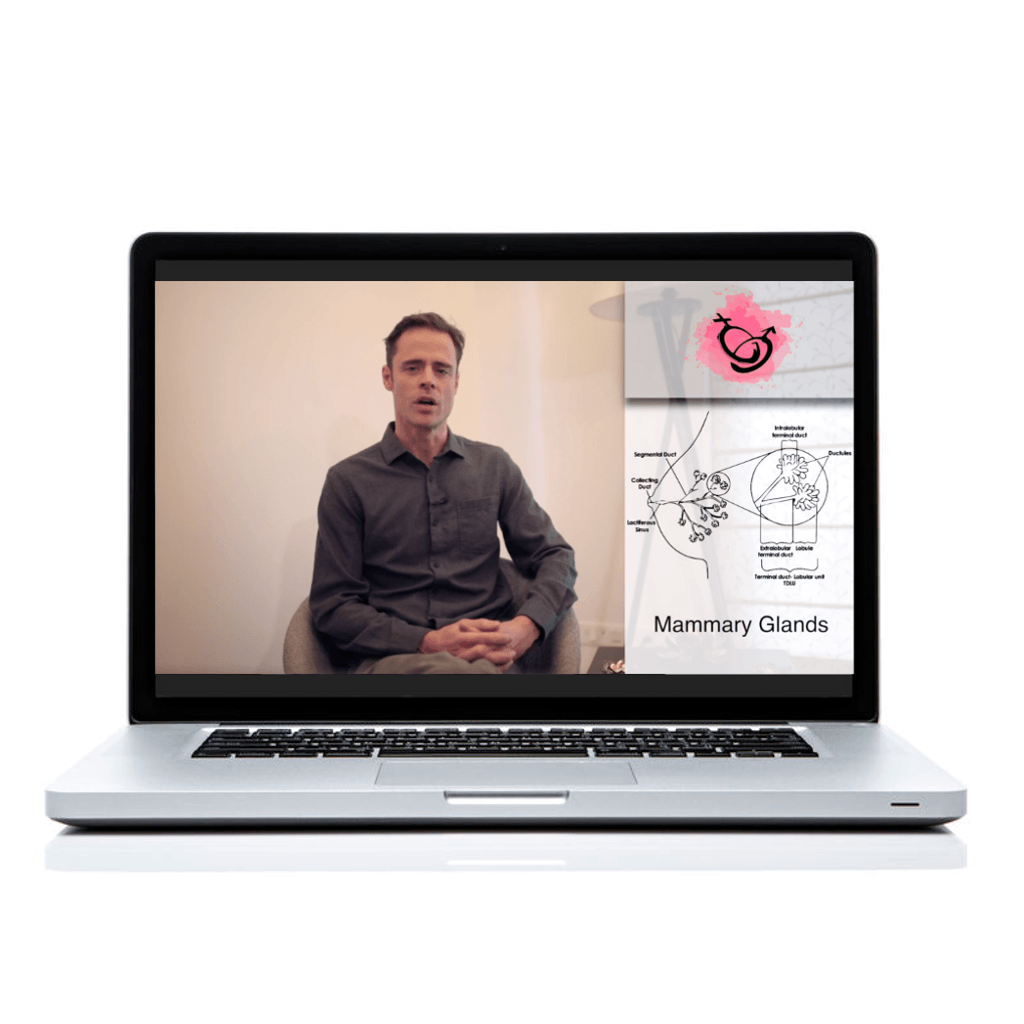 Ayurveda &amp; Sexual Wellness Educational Course The Ayurveda Experience 