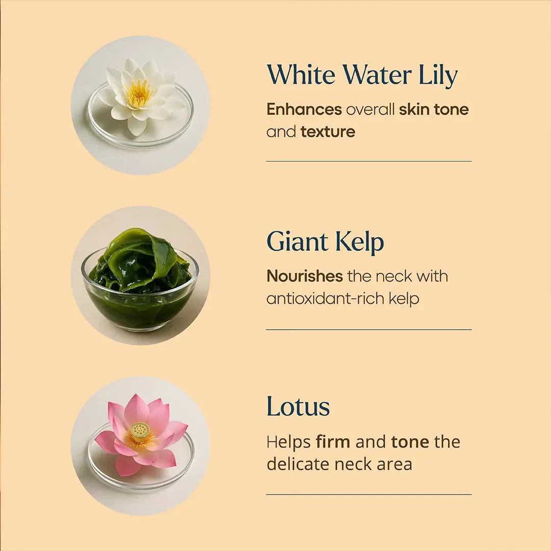 Firm-Focus Neck Mask - Lifts, Firms, Smooths the look of Loose, Saggy Skin on the Neck, Jaw, Chin &amp; Upper Chest - Focused Neck Firming Action with Phyto-Ceramides and Water Lily - Best Firming Neck Mask Neck Mask A Modernica Naturalis 