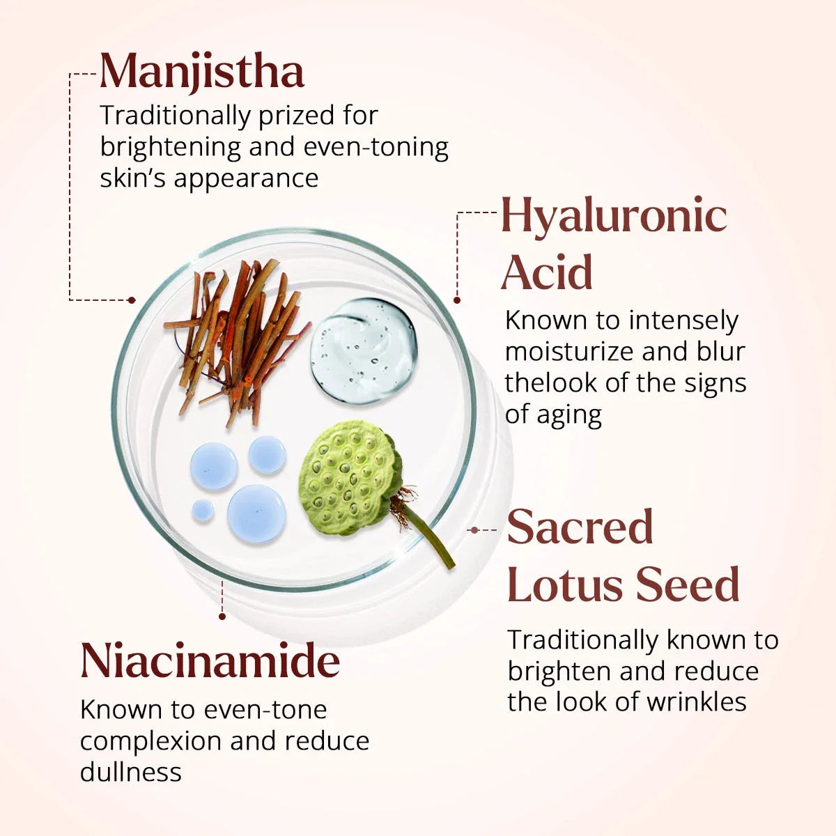 Rufolia Periorbital Eyemulsion - Brightening and Visibly Firming Eye Cream Eye Cream A Modernica Naturalis 